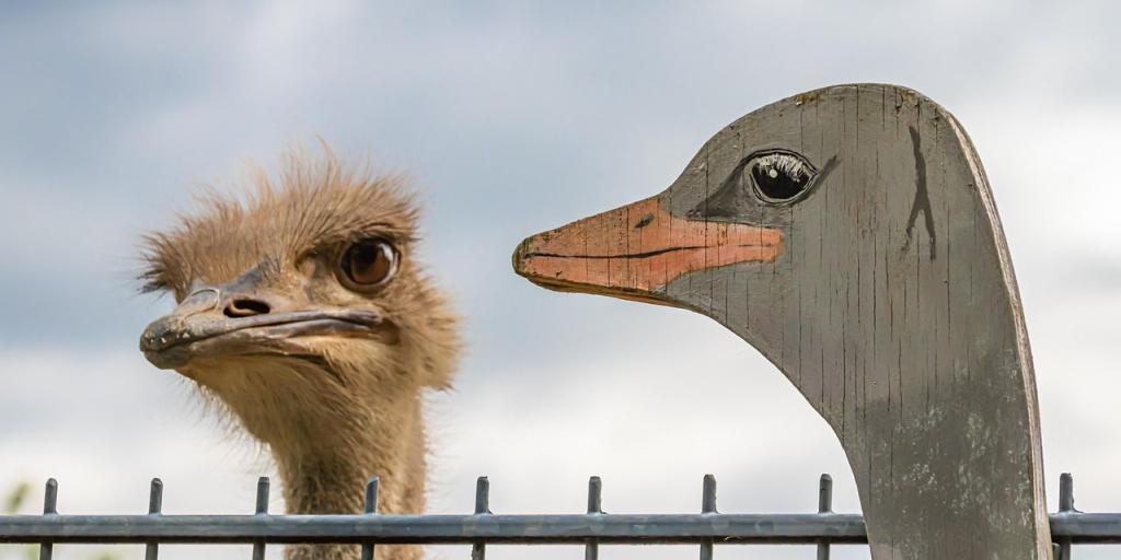 echter Straussenkopf mit hölzernem Gänsekopf