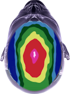 Aufsicht auf Kopf mit symmetrischen Farben